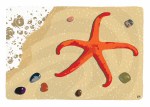 Red starfish on sandy beach with pebbles and sea foam
