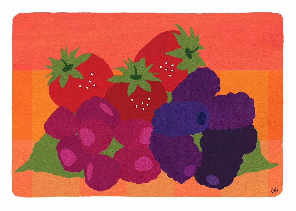 Multicolor Berry Fruit Still Life